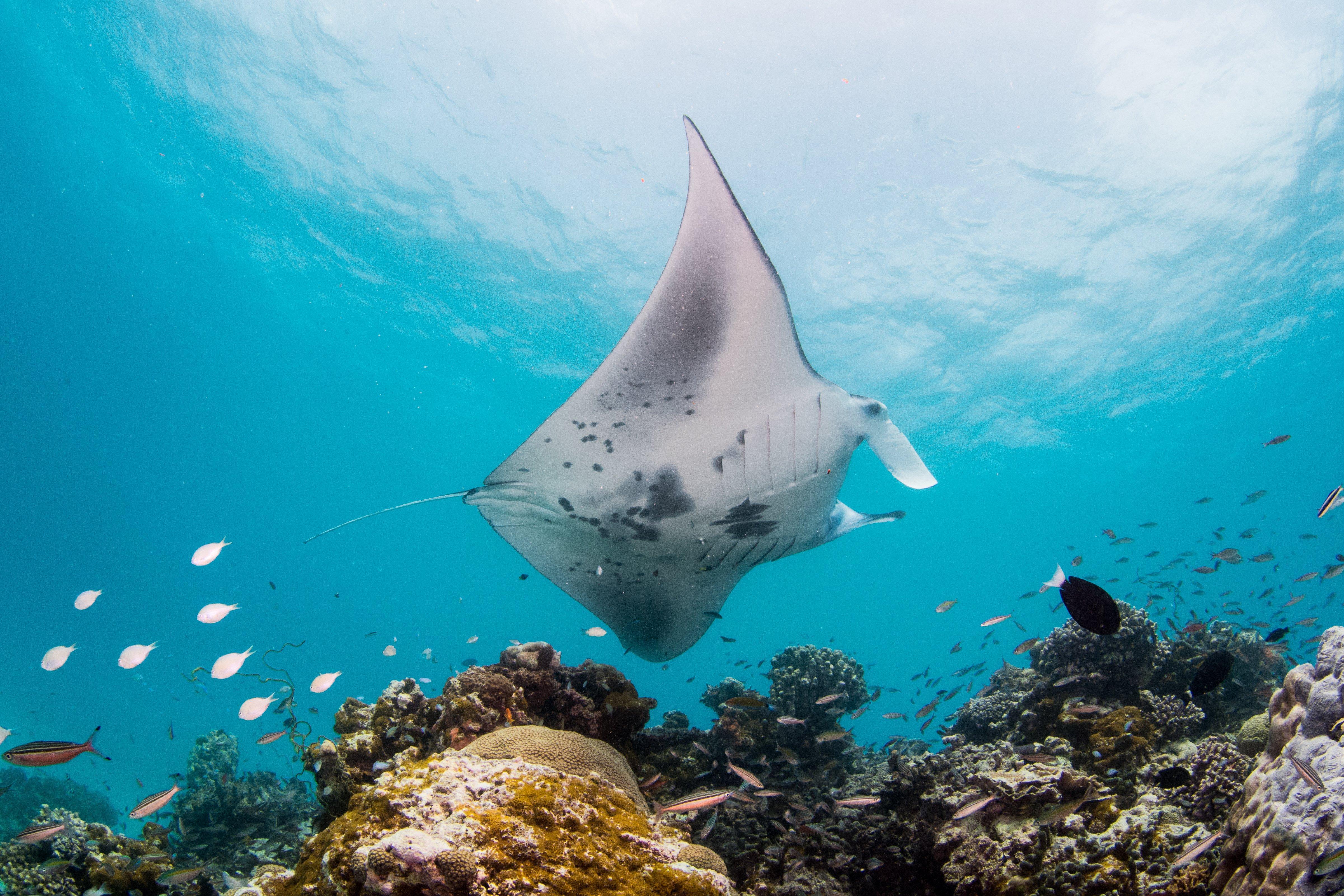 Intercontinental Maldives Maamunagau Resort With Club Benefits By Ihg Meedhoo  Bagian luar foto